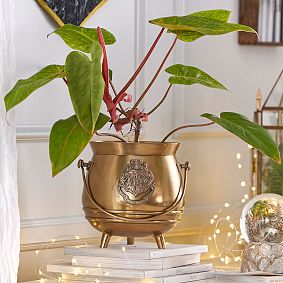 Harry Potter<sup>&trade;</sup> Cauldron Planter
