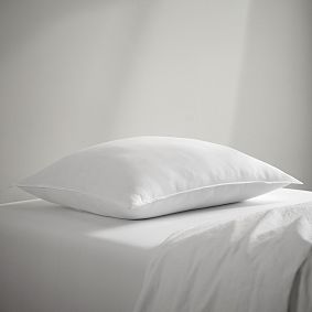 Pottery Barn Teen Essential Down Alternative Pillow Insert