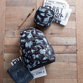 HARRY POTTER<sup>&trade;</sup> Gear-Up Patronus Glow-in-the-Dark Classic  Lunch Box