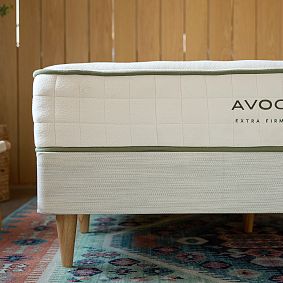 Avocado Standard Foundation