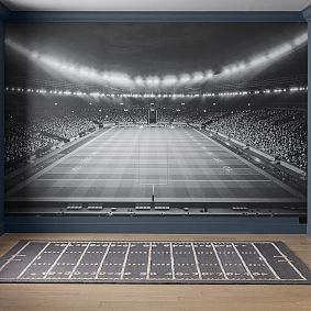 Black and White Sports Field Wall Decal 