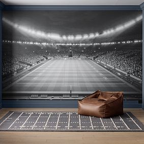 Black and White Sports Field Wall Decal 