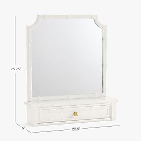 AERIN Vanity Storage Mirror (23"w x 26"d)