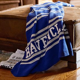 Harry Potter<sup>&trade;</sup> Collegiate Stripe House Throw