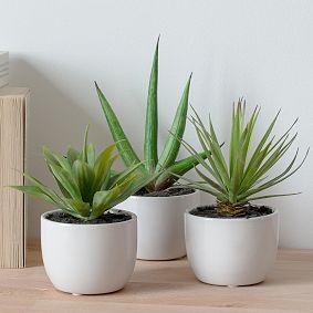 Faux Potted Southwest Plants, Set of 3