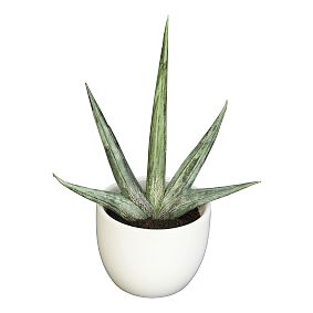 Faux Potted Southwest Plants, Set of 3
