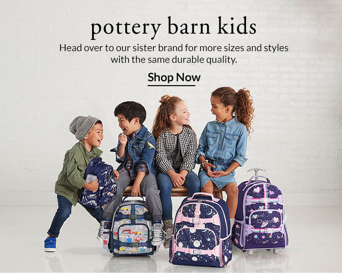 pbk cold pack lunch bag