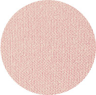 Enzyme Washed Canvas - Dusty Rose