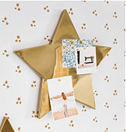 The Emily & Meritt Gold Star Magnets