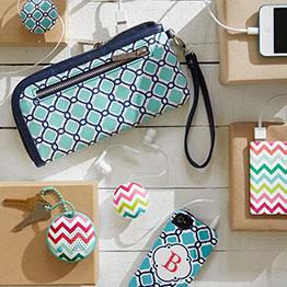 Electronic Accessories