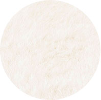 Polar Bear - Ivory