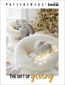 Pottery Barn Teen