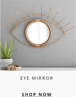 Eye Mirror