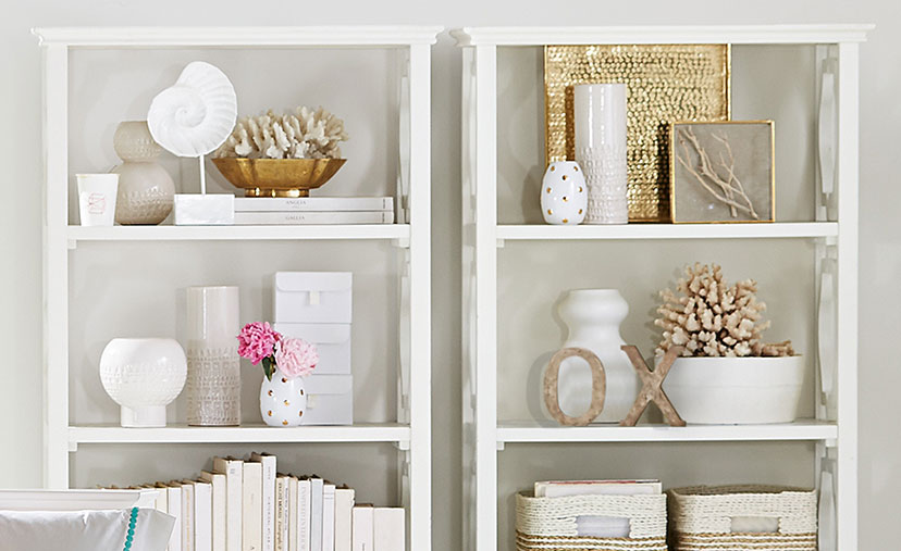 Bookcases and Shelves