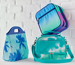 How To Clean a Lunch Box