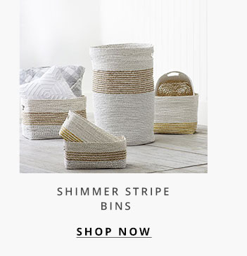 Shimmer Stripe Bins