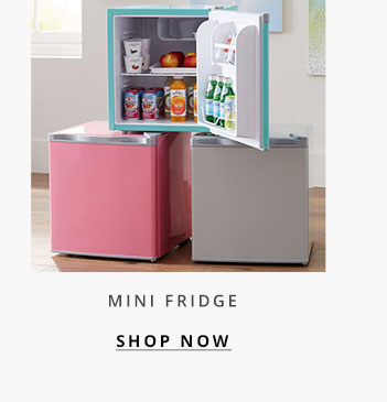 Mini Fridge
