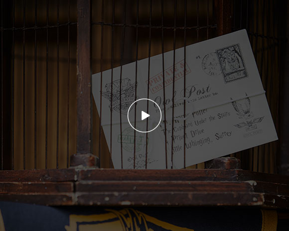 Drcorate a Hogwarts&trade; Letter