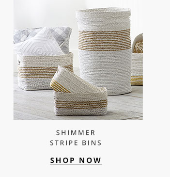 Shimmer Stripe Bins