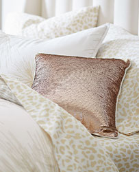Rachel Zoe Sequin Pullow Cover