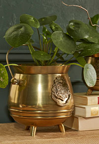 Harry Potter&trade; Cauldron Planter