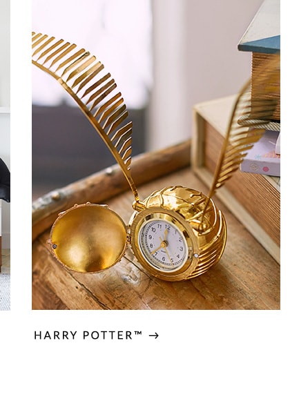 Harry Potter