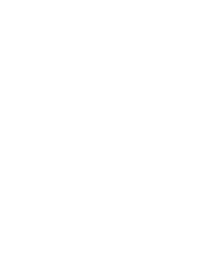 Slytherin Insignia