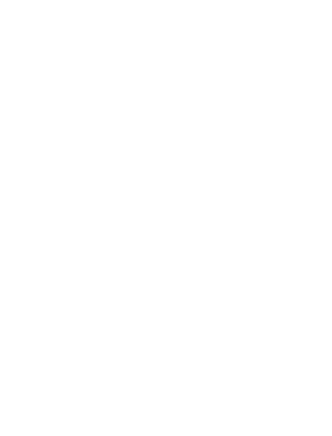 Gryffindor Insignia
