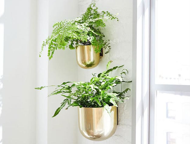 Two gold wall planters with green plants