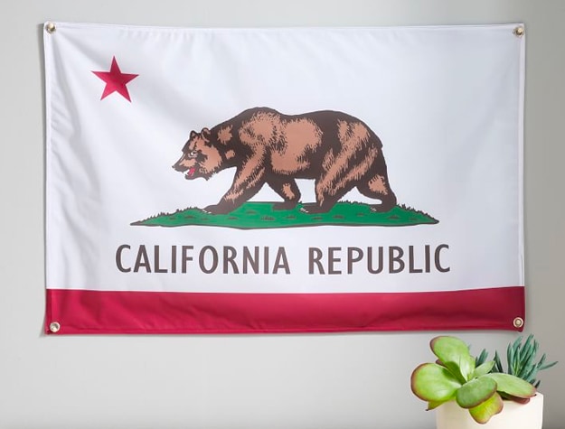 California state flag on wall