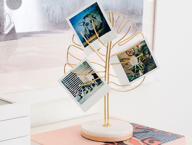 Leaf shaped stand displaying photos