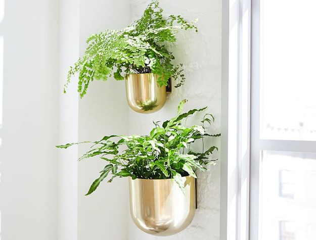 Gold metal wallscape planter hanging on fall with plants inside