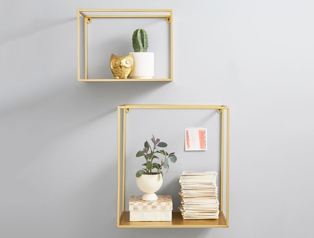 Two floating shelves with indoor plants.