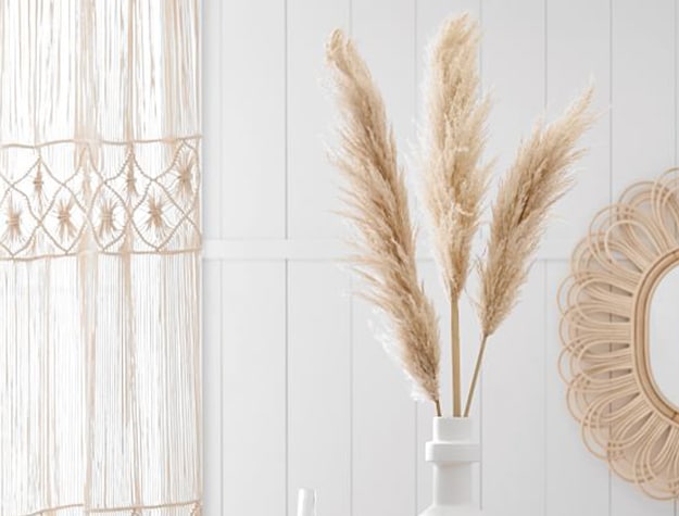 Natural pampas in a white vase decorate a room.
