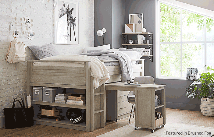 Sleep & Study Collection