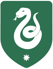 Slytherin Insignia Hovered