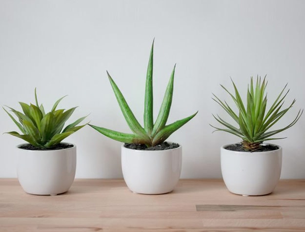 Faux Potted Southwest Plants, Set of 3