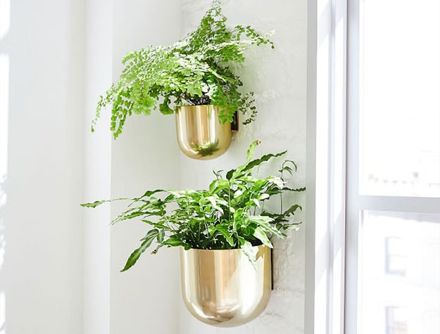 Two gold wall planters with green plants Two gold wall planters with green plants