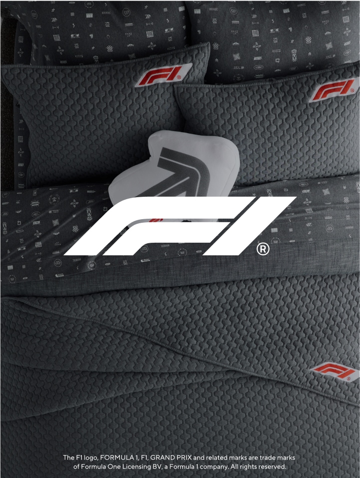 Formula 1