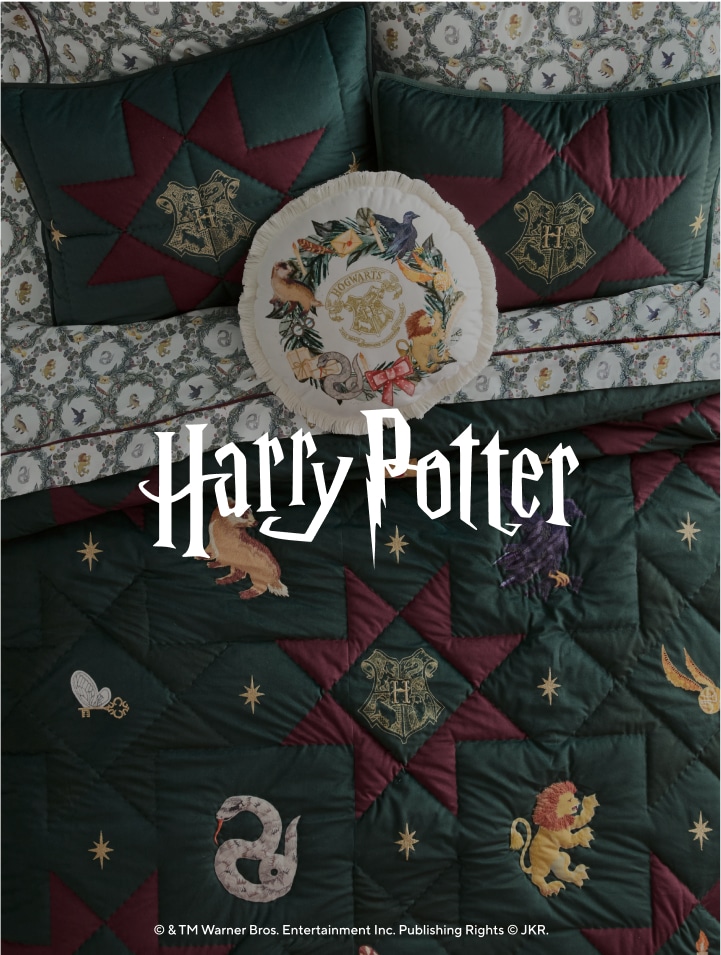 Harry Potter™