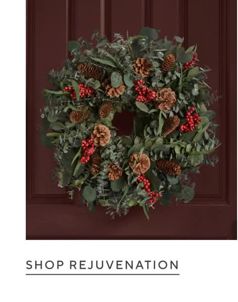 Shop Rejuvenation >