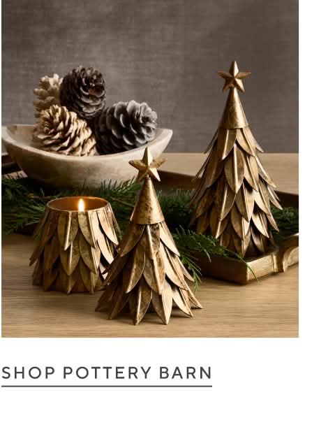 Shop Pottery Barn >