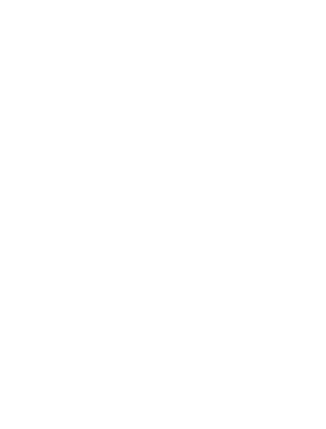 Hufflepuff Insignia
