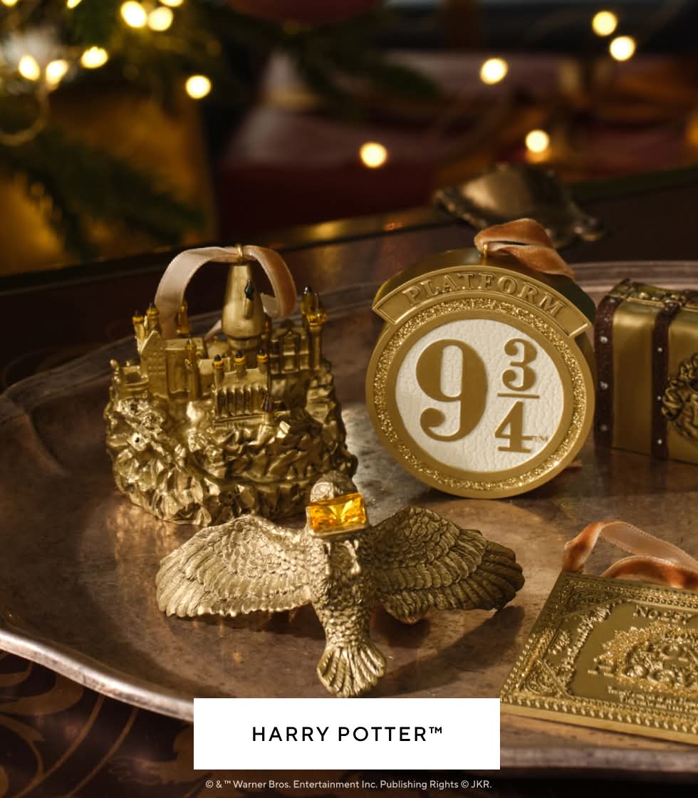 Harry Potter™