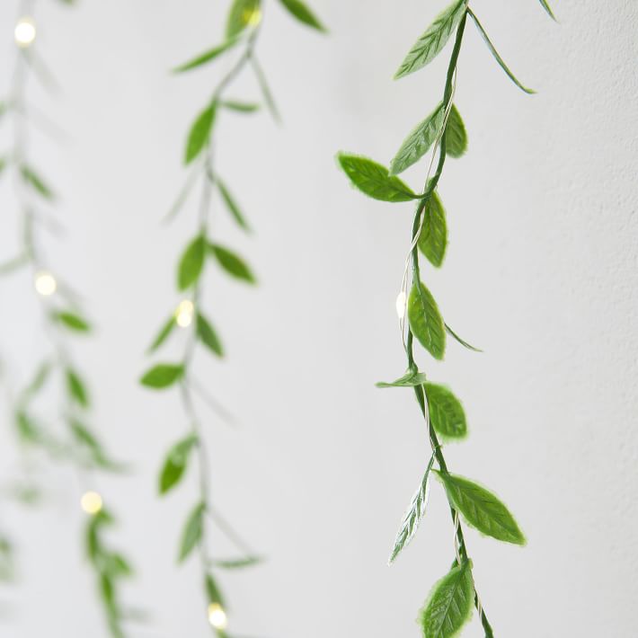 Curtain Leaf Waterfall String Light | Pottery Barn Teen