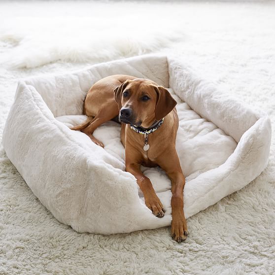 fur pet bed