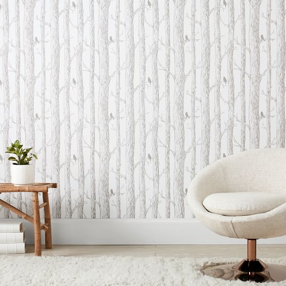 Forest Peel and Stick Dorm Wallpaper Pottery Barn Teen