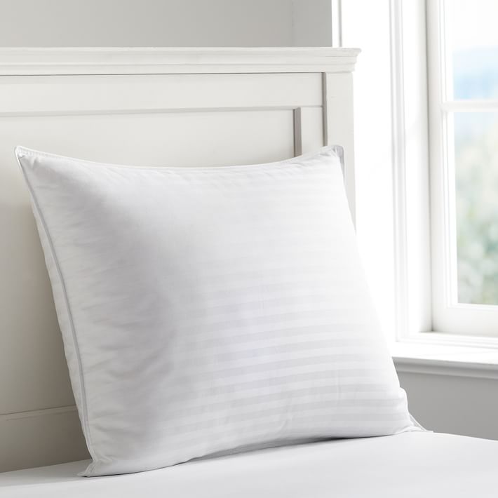 Micromax Standard Pillow Insert Pottery Barn Teen