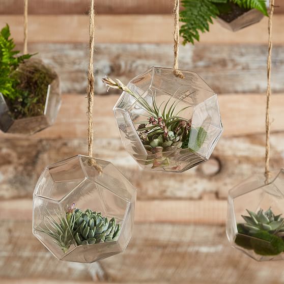 Hanging Glass Terrarium Room Decor Pottery Barn Teen