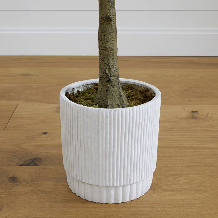 Elements Fiddle Leaf Fig in Ivory Ceramic Pot Farmhouse Faux